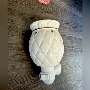 Wall wax warmer plug in